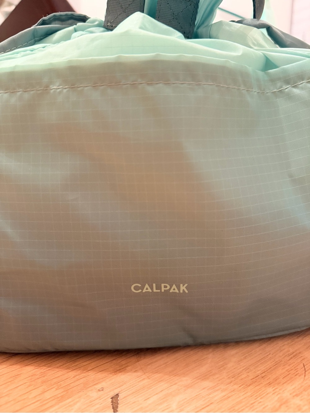 Calpak Insulated Lunch Bag in Matcha - Picture 11 of 12